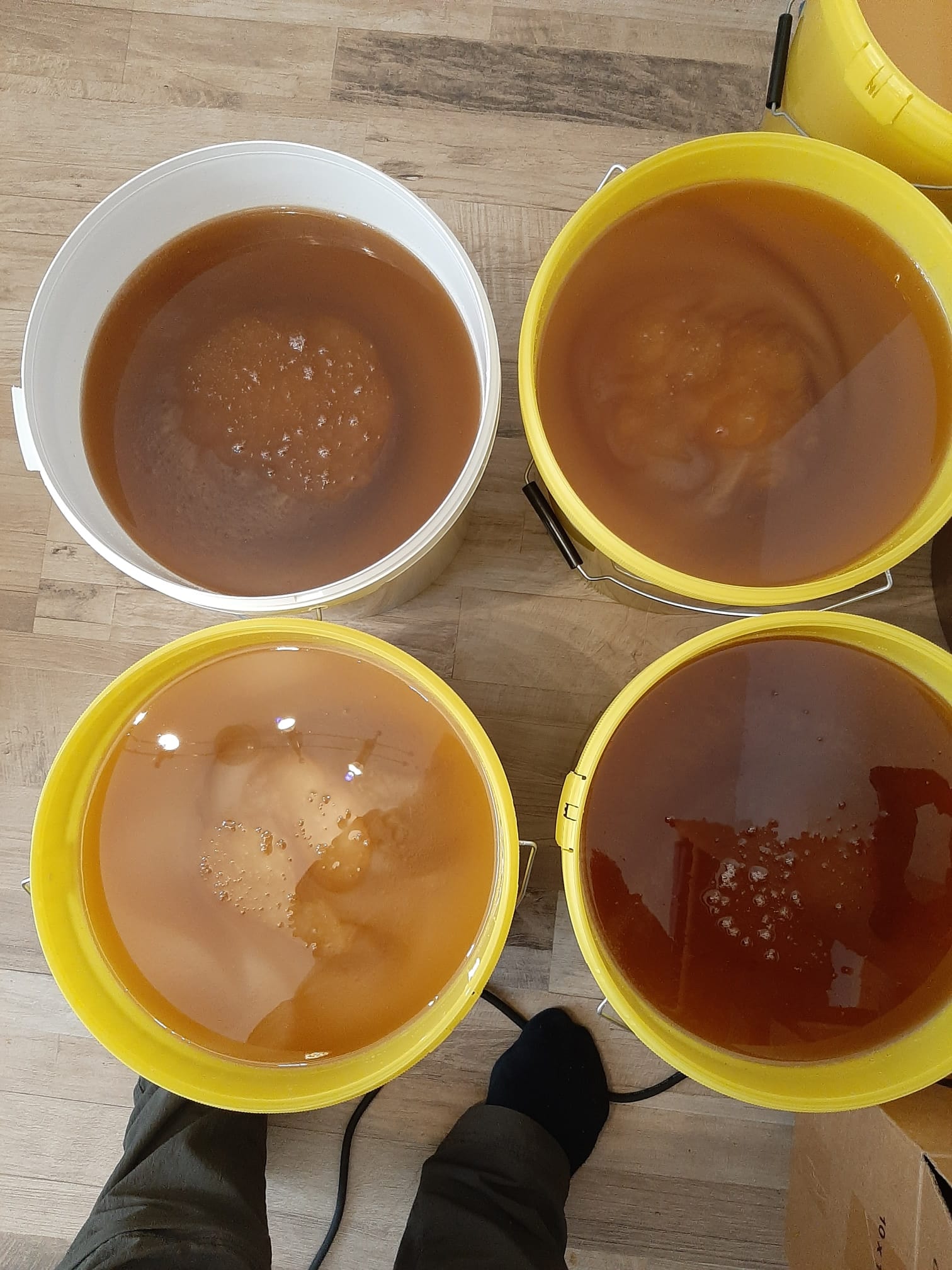 Honig im Hobbock